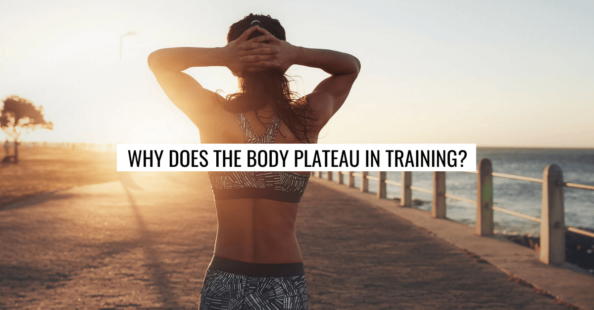 Why Does the Body Plateau in Training